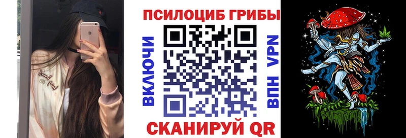 Купить где  Ирбит  Галлюциногенные грибы GOLDEN TEACHER 